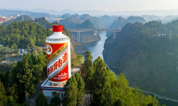 公告分红325亿后再出资参与设立基金 贵州茅台：现金流依然充